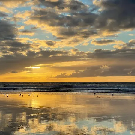 La Puisatiere Saint-Pierre-d'Artheglise